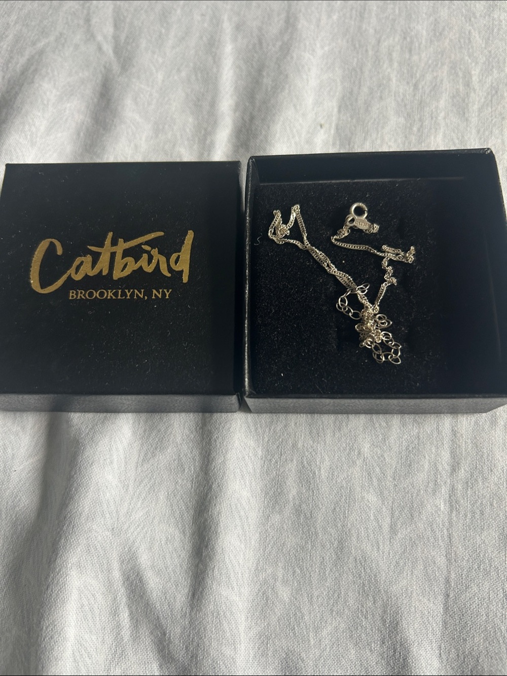 Catbird Silver Chain Choker Necklace with Box